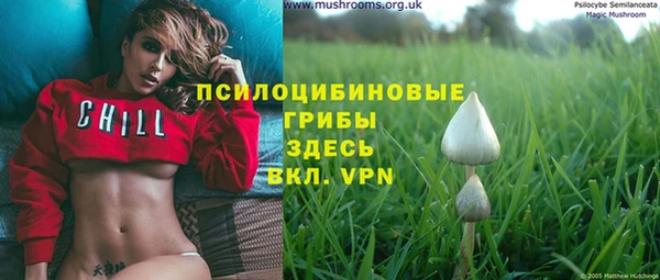 трава Краснослободск