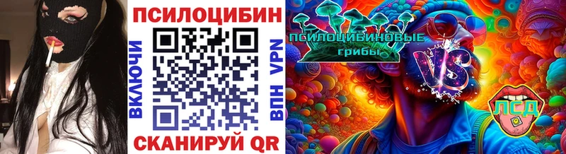Купить  Микунь  Галлюциногенные грибы Magic Shrooms 
