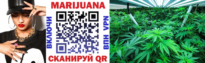 Купить закладки Микунь Конопля SATIVA & INDICA